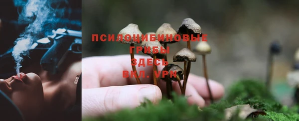 МДМА Надым