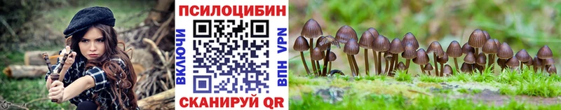 наркотики  Кострома  Псилоцибиновые грибы Psilocybine cubensis 