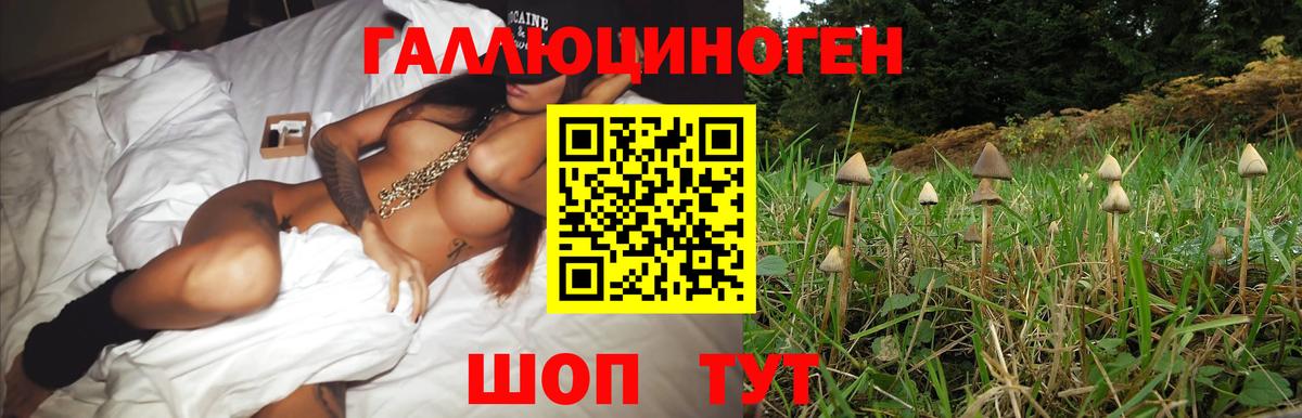 Галлюциногенные грибы мицелий  Вход с VPN  Псилоцибиновые грибы прущие грибы  Кострома 