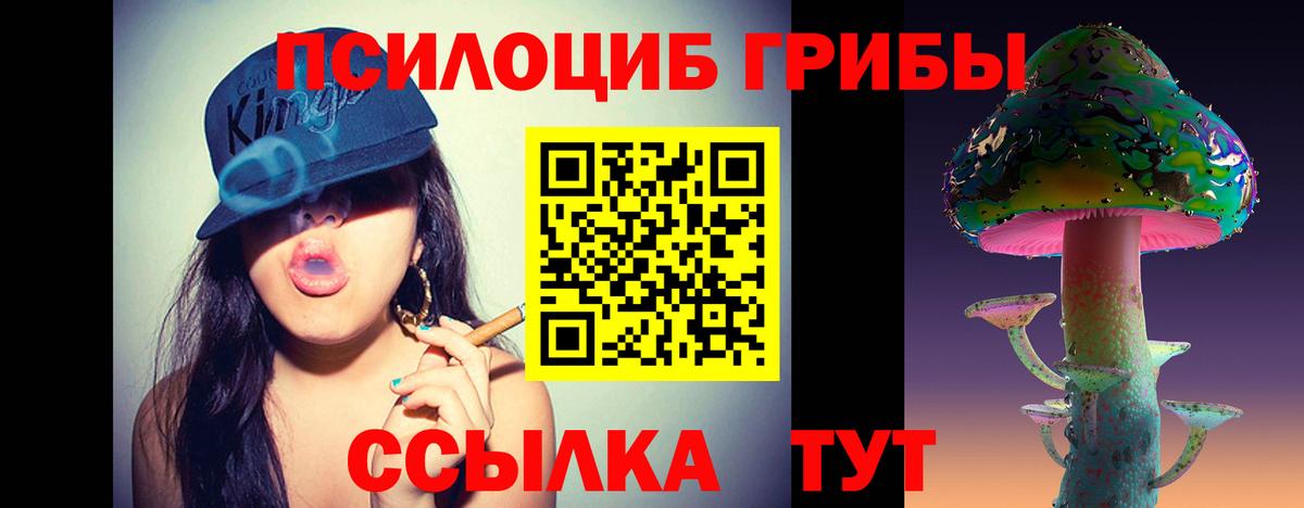 Псилоцибиновые грибы ЛСД Кострома